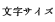 文字サイズ