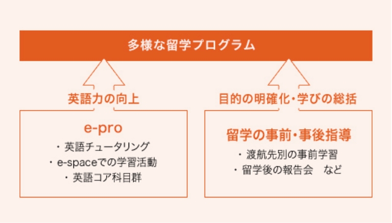 多様な留学プログラム