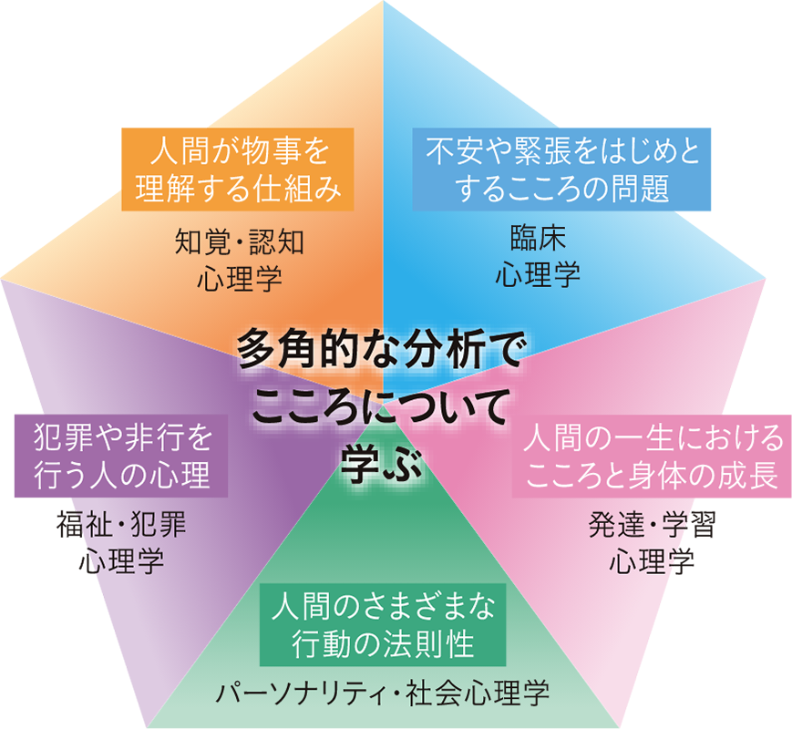 学びの領域図