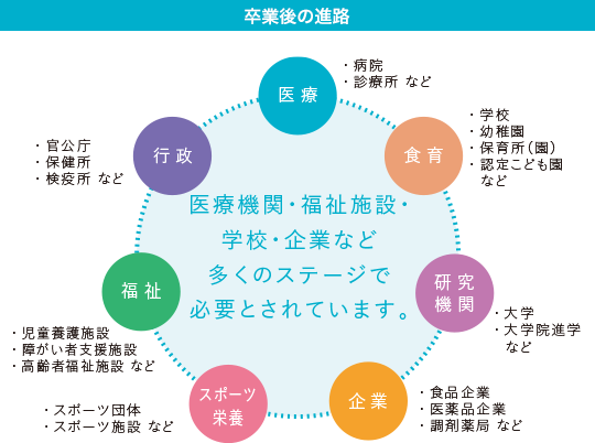 卒業後の進路｜医療機関・福祉施設・学校・企業など多くのステージで必要とされています。