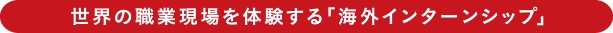 世界の職業現場を体験する「海外インターンシップ」