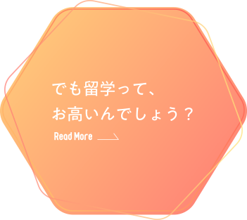 でも留学って、お高いんでしょう？