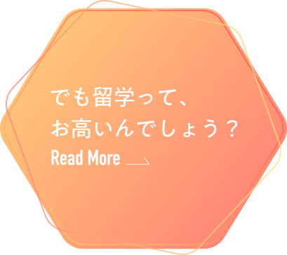 でも留学って、お高いんでしょう？