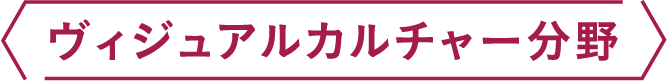 ヴィジュアルカルチャー分野