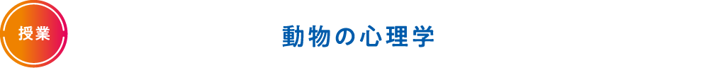 動物の心理学