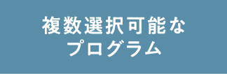 複数選択可能なプログラム