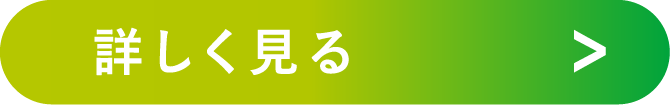 詳しく見る