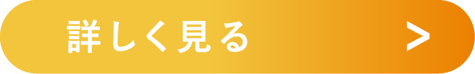 詳しく見る