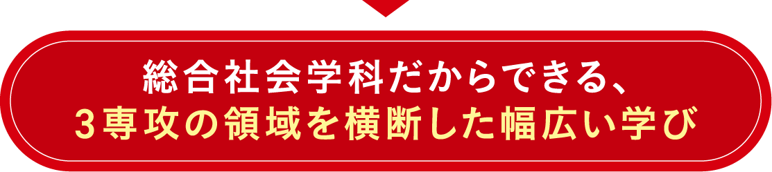 総合社会学科だからできる、3専攻の領域を横断した幅広い学び
