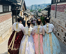 多文化コミュニケーション学科 韓国スタディツアー