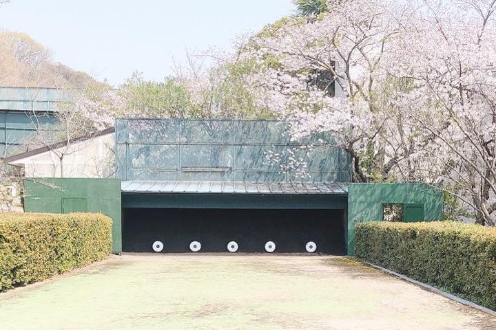 弓道部の写真