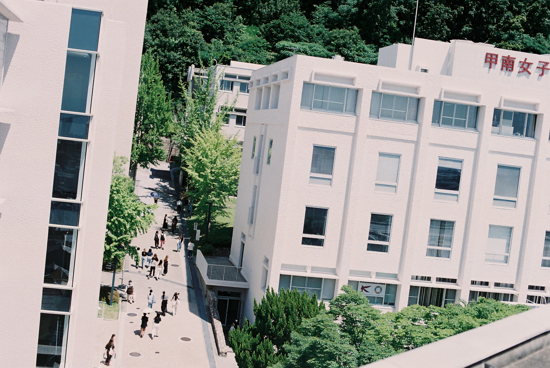 第1学生会館から続く坂道