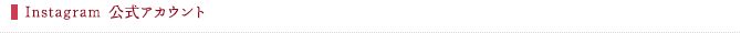 Instagram公式ページ